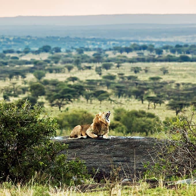 Serengeti National Park